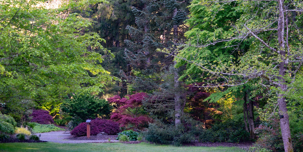 Lake Wilderness Arboretum, United States